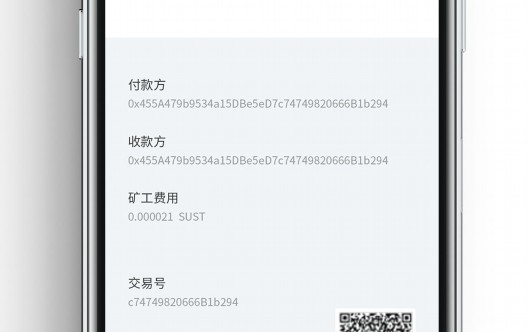 Wallet loss test (Cloud wallet participates in test answers)