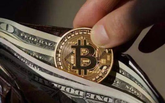 Growing coin mobile wallet (Bitcoin mobile wallet)